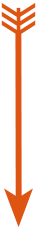 scroll down